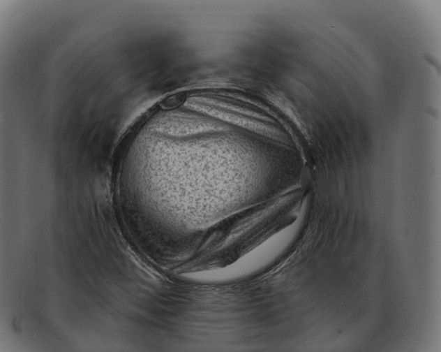 X0000091691452200709131557