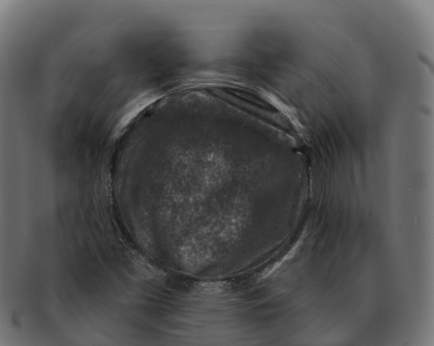 X0000091691453200709131557