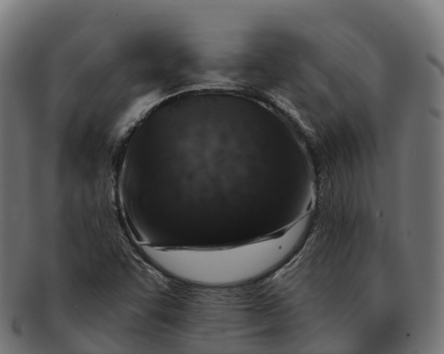 X0000091691455200709131557