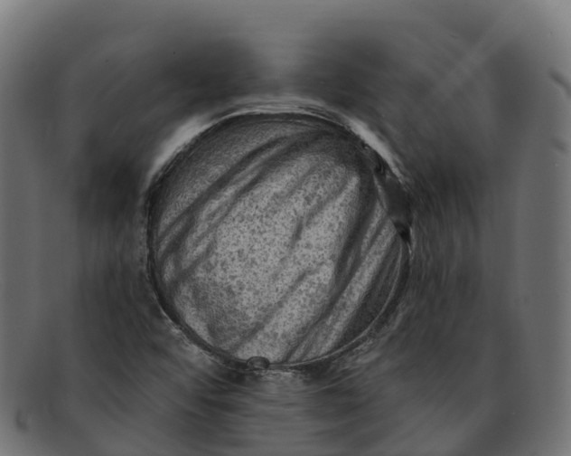 X0000091691456200709131557