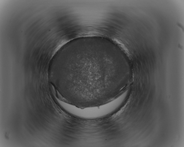 X0000091691457200709131557