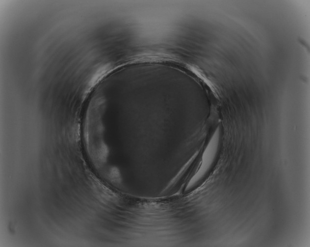 X0000091691459200709131557