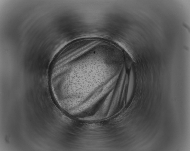 X0000091691460200709131557