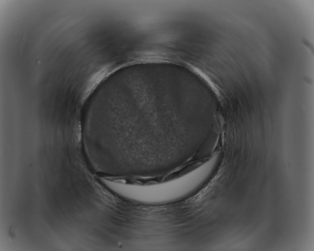 X0000091691461200709131557