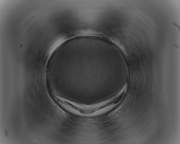 X0000091691463200709131557