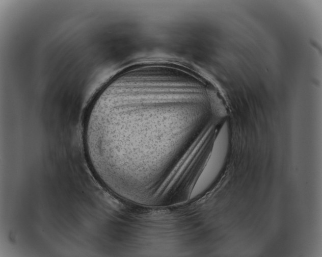 X0000091691464200709131557