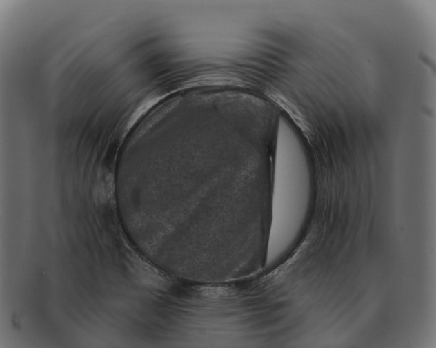 X0000091691465200709131557