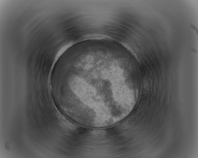 X0000091691466200709131557