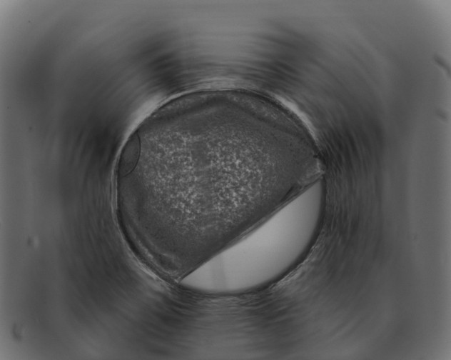 X0000091691467200709131557