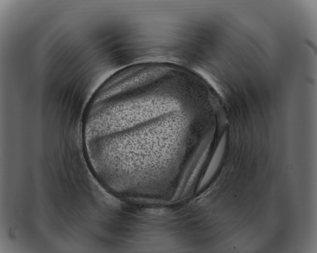 X0000091691468200709131557