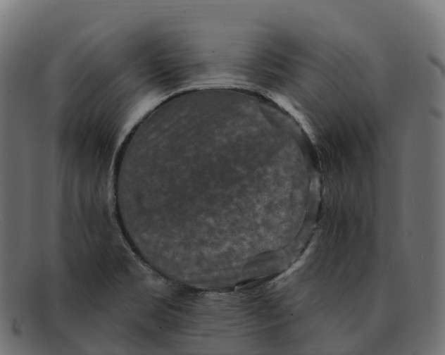 X0000091691469200709131557