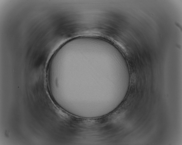 X0000091691470200709131557