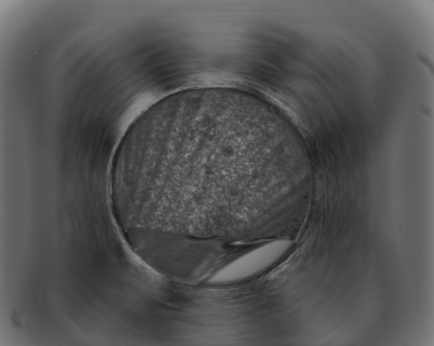 X0000091691471200709131557