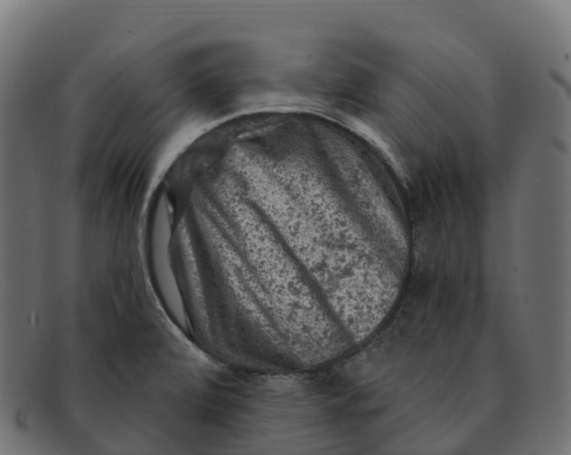 X0000091691472200709131557