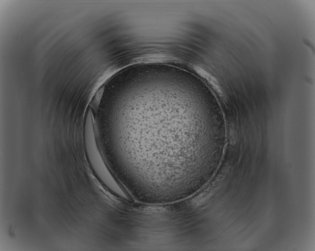 X0000091691473200709131557