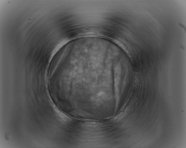 X0000091691474200709131557