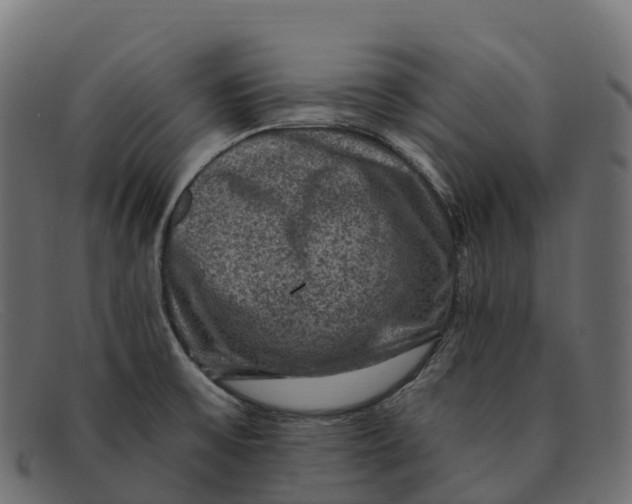 X0000091691475200709131557