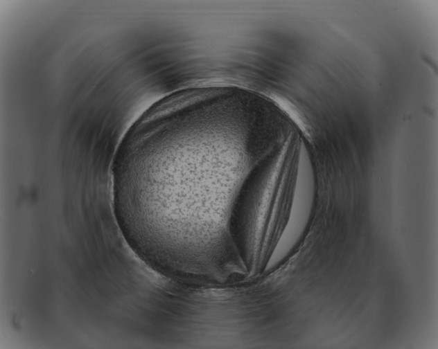 X0000091691476200709131557