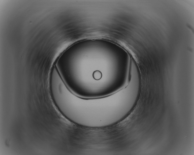 X0000091691477200709131557