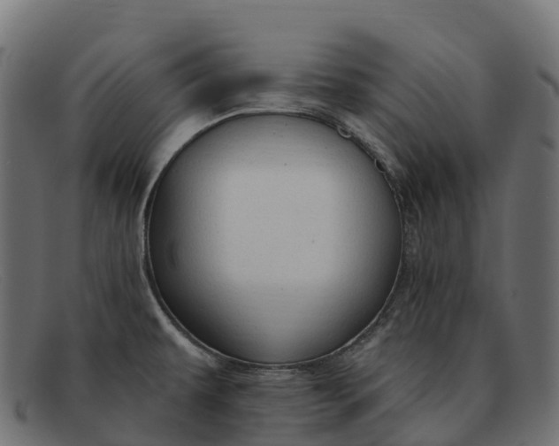 X0000091691479200709131557