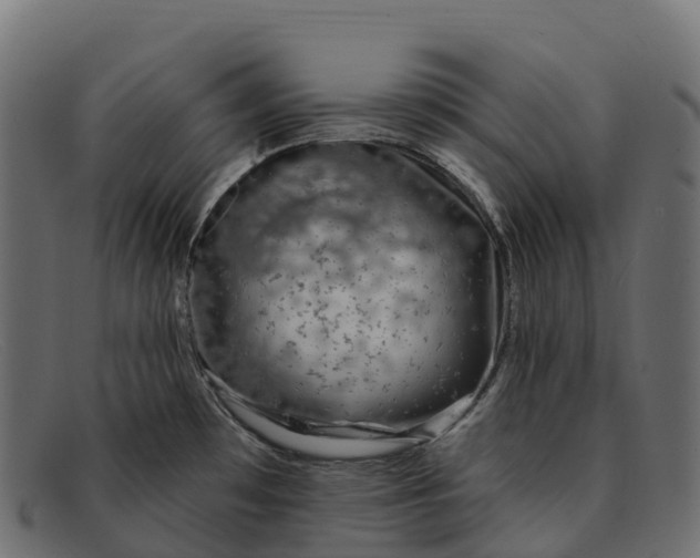 X0000091691481200709131557