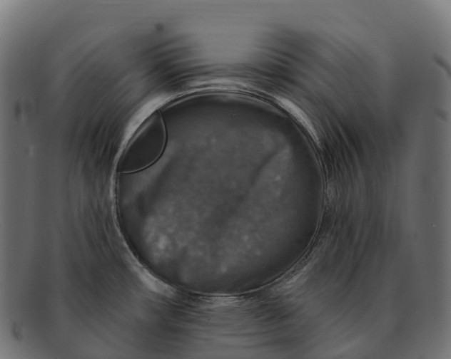 X0000091691482200709131557