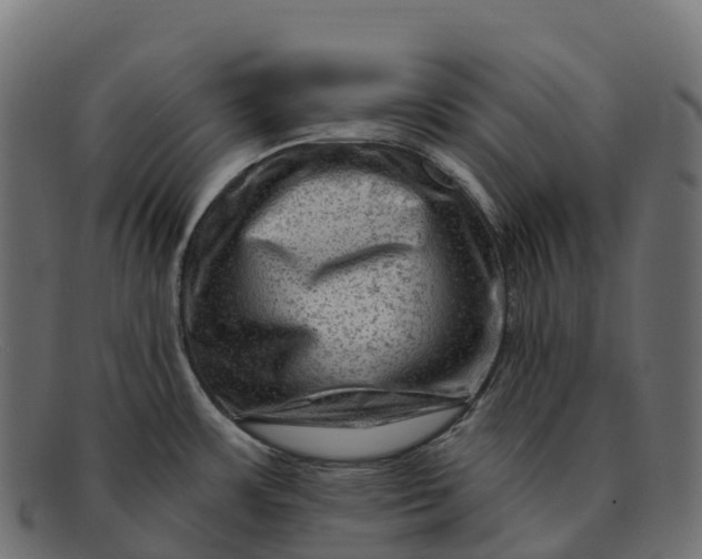 X0000091691483200709131557