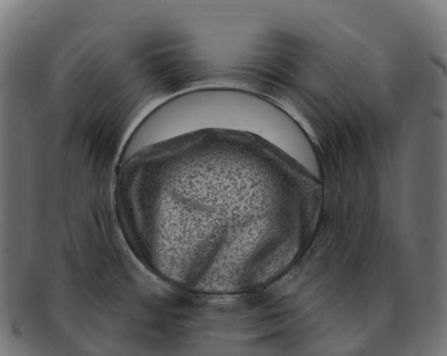 X0000091691484200709131557