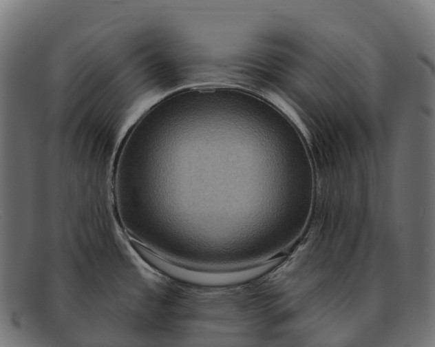 X0000091691485200709131557