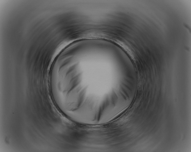 X0000091691486200709131557