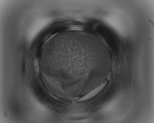 X0000091691487200709131557