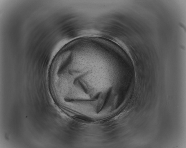 X0000091691488200709131557