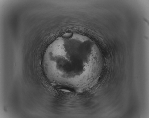 X0000091691489200709131556