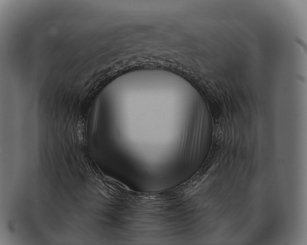 X0000091691490200709131556