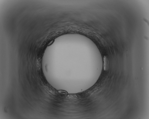 X0000091691491200709131556