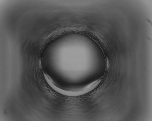 X0000091691492200709131556