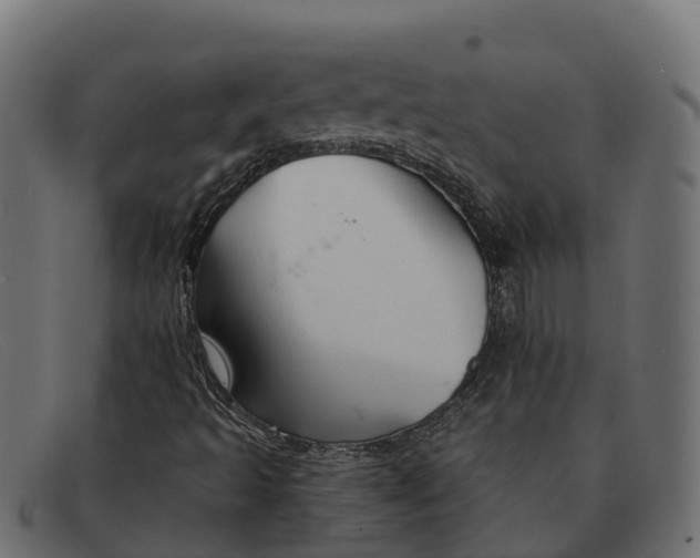 X0000091691493200709131556