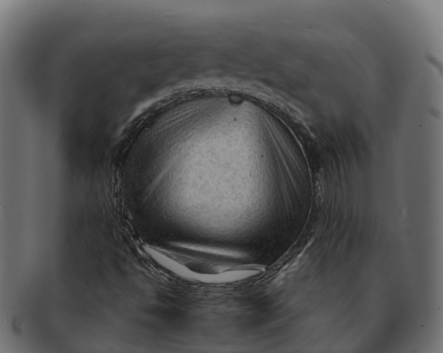 X0000091691494200709131556