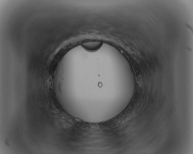 X0000091691495200709131556