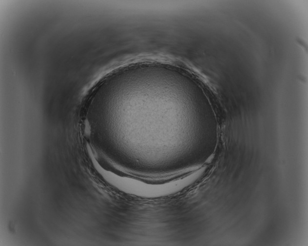 X0000091691496200709131556