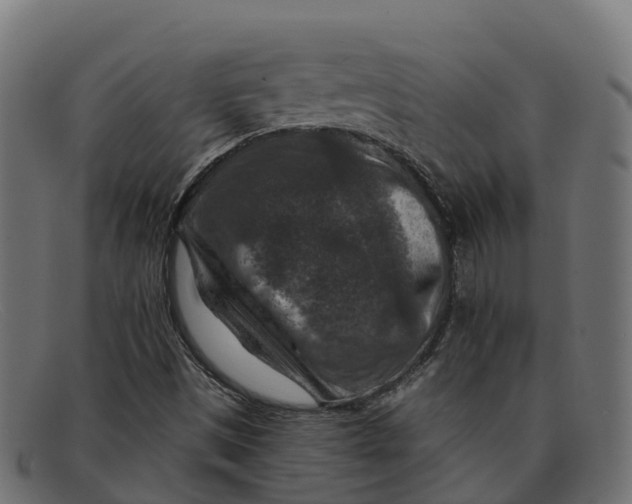 X0000091691497200709131556