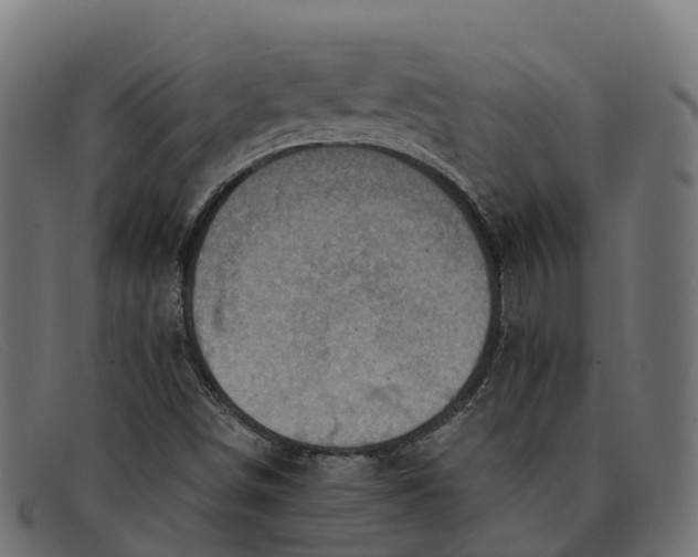 X0000091691498200709131556