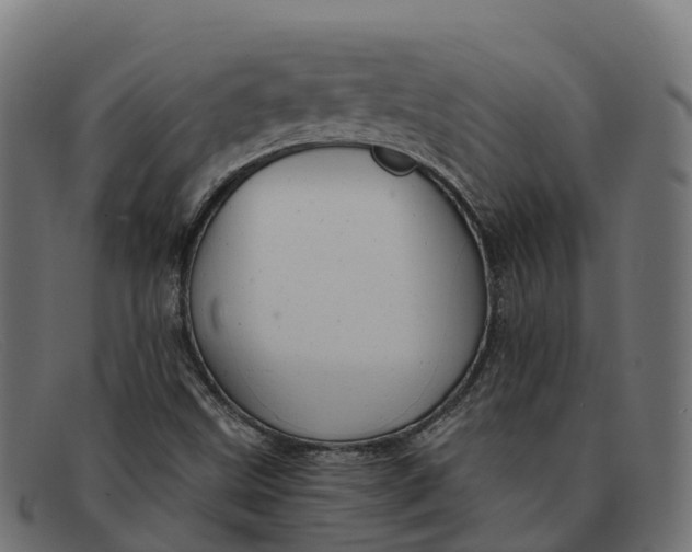 X0000091691499200709131556