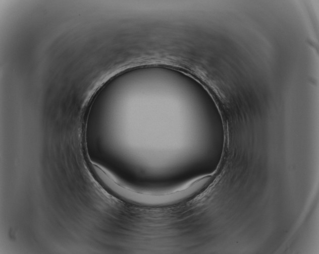 X0000091691500200709131556