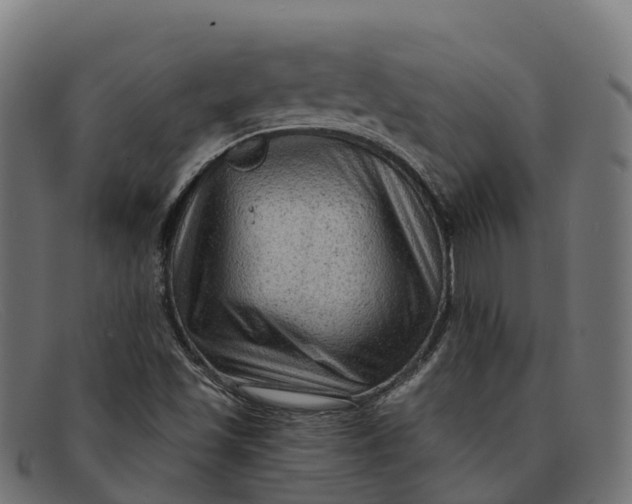 X0000091691501200709131556