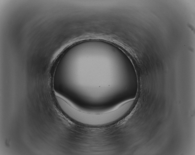 X0000091691502200709131556