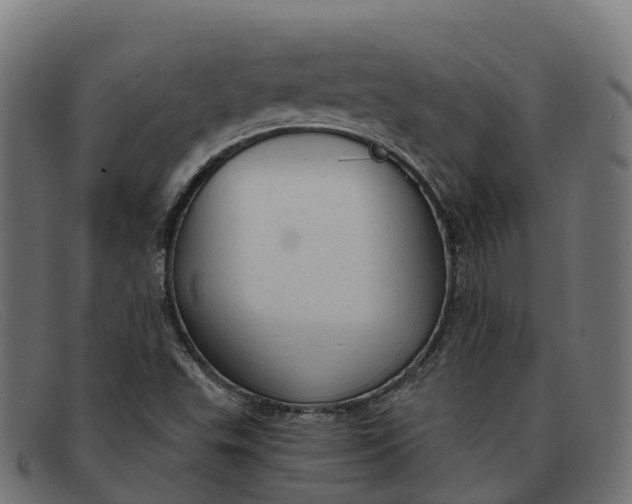 X0000091691503200709131557