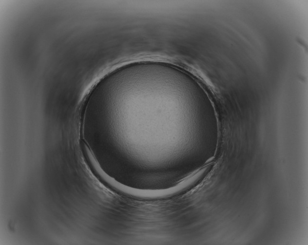 X0000091691504200709131557