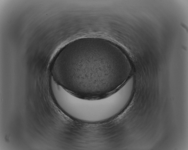 X0000091691506200709131557