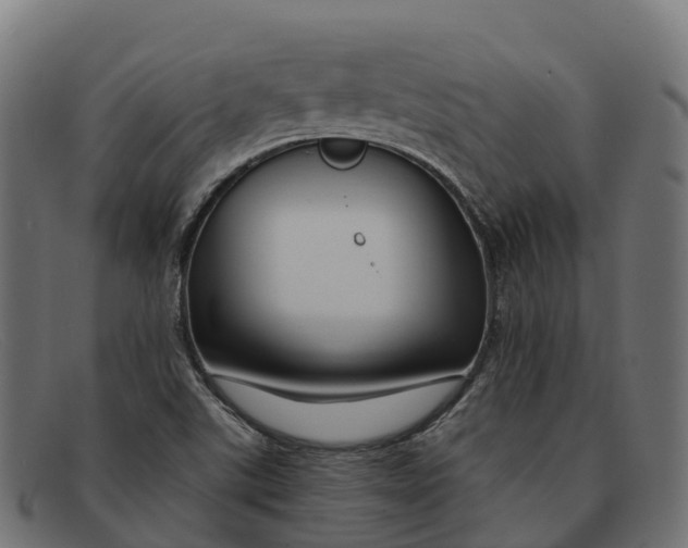 X0000091691507200709131557